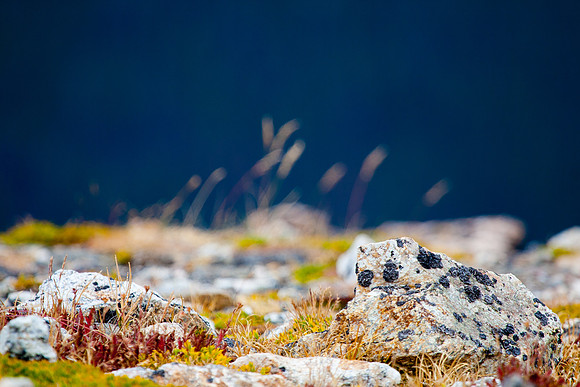 Rocky Mountain National Park