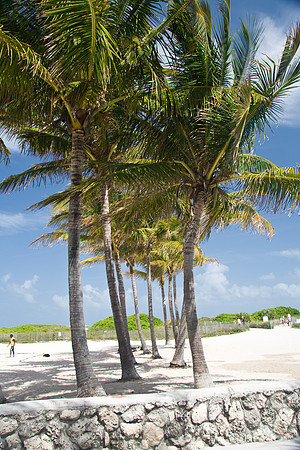 Miami  Beach