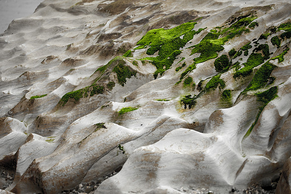 Motukiekie Beach Walk, West Coast near Greymouth