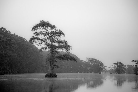 Caddo Lake