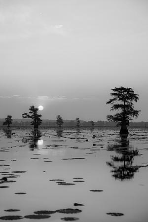 Caddo Lake