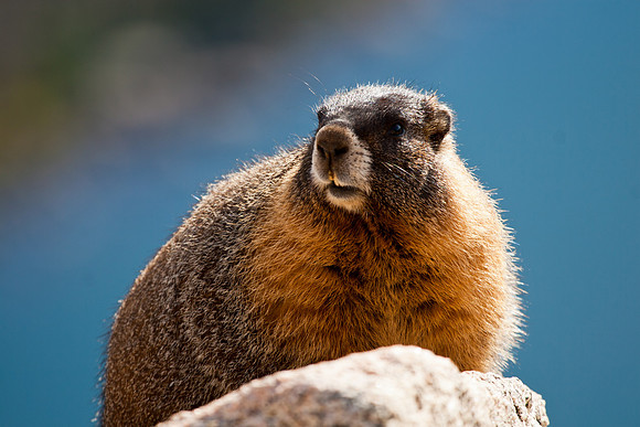 Mount Evans (14,265 feet)