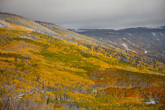 Grand Mesa Scenic Byway