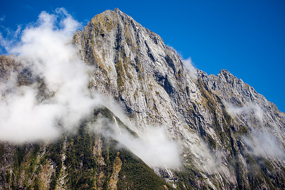 Boat Tour around Miford Sound in Fiordland National Park
