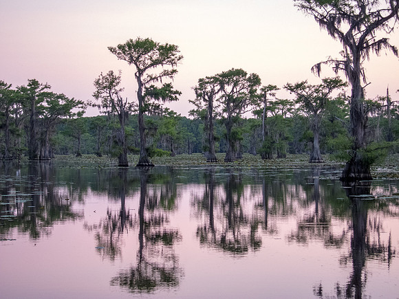 Caddo Lake