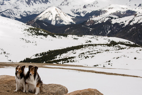 Trail Ridge Road, Rocky Mountain National Park