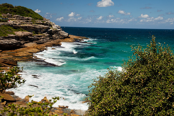 Marks Park, near Bondi Beach