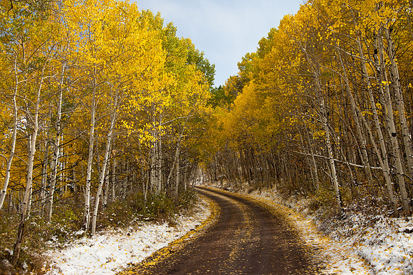 Last Dollar Road, Colorado