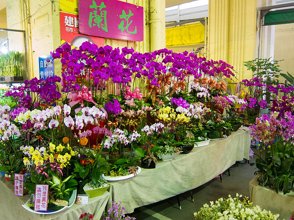 Jianguo Holiday Flower Market,Taipei