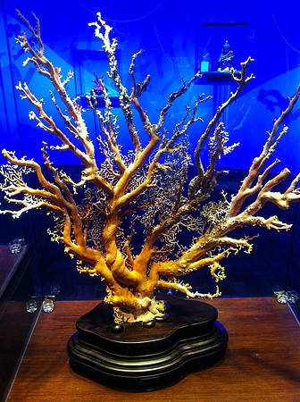 Taipei 101 Red Coral Art