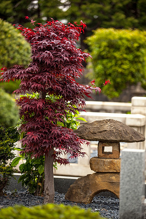 Yanaka Cemetery