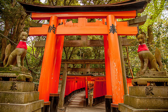 Fushimi Inari Shrine, Kyoto