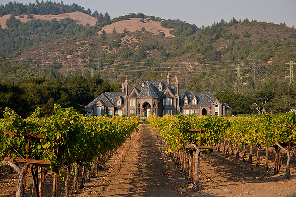 Ledson Winery & Vineyards