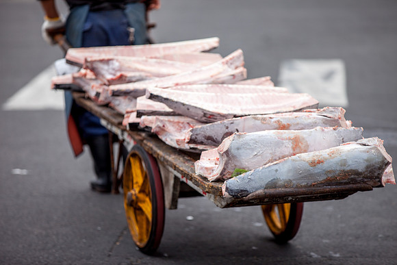 Tsukiji Fish Market