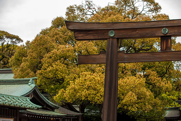 Meji Jingu Shrine