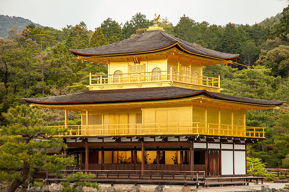 Kinkaku-ji (Golden Temple), Kyoto