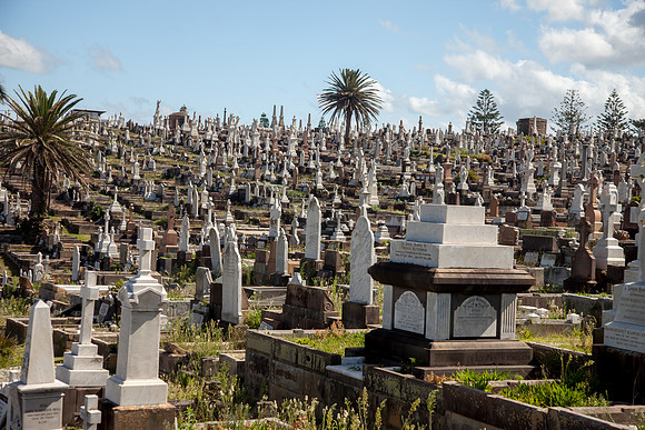 Waverly Cemetery, Sydney