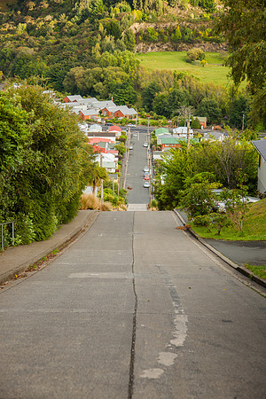Baldwin Street (World's Steepest Residential Street), Dunedin