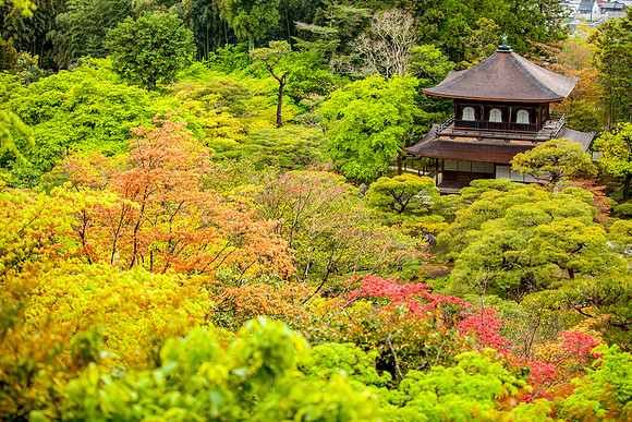 Ginkakuji (Silver Pavilion), Kyoto