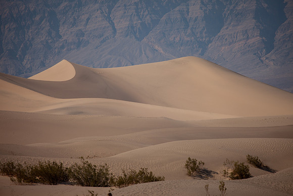 Mesquite Flat Sand Dunes