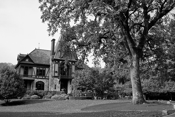 Beringer Vineyards