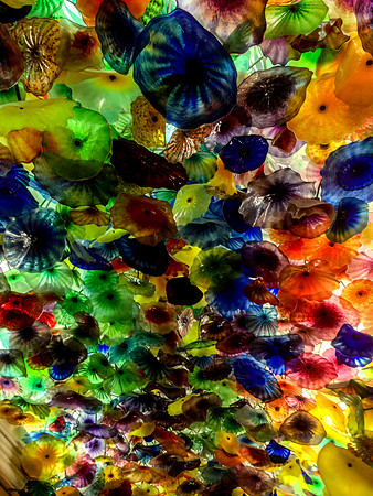 Bellagio Las Vegas