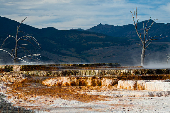Mammoth Hot Springs Terraces