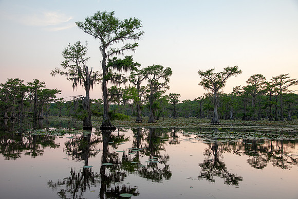 Caddo Lake