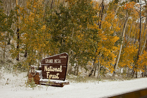 Grand Mesa Scenic Byway