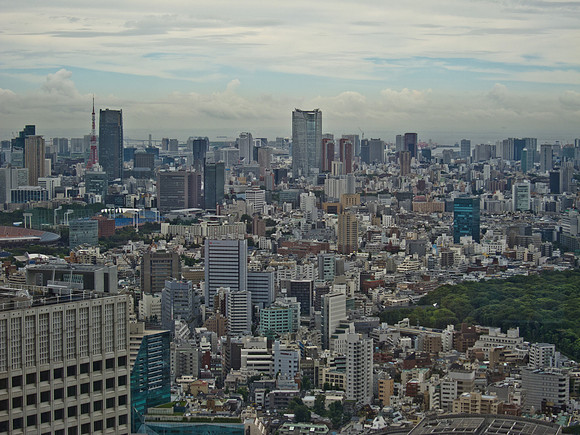 View from the Tokyo Metropolitan Government Building