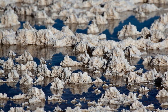 Mammoth Hot Springs Terraces