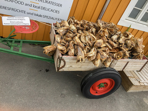 Dried codheads, Sakrisøya