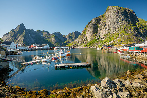 Hamnøy Views