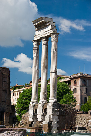 The Roman Forum