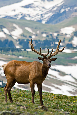 Rocky Mountain National Park