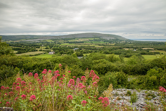 The Burren, County Clare, Ireland