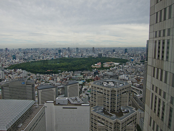 View from the Tokyo Metropolitan Government Building