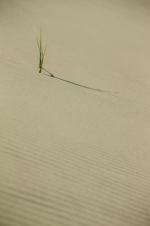 Oregon Dunes National Recreation Area