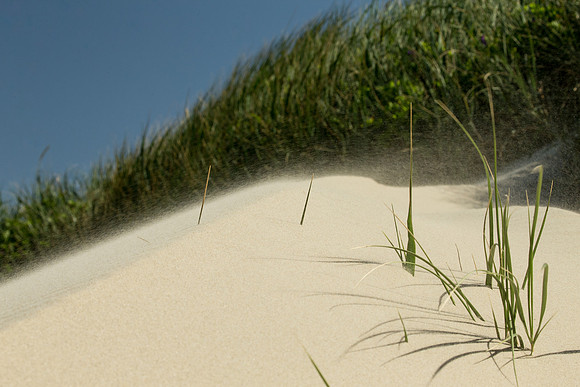 Oregon Dunes National Recreation Area