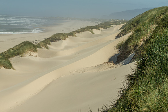 Oregon Dunes National Recreation Area