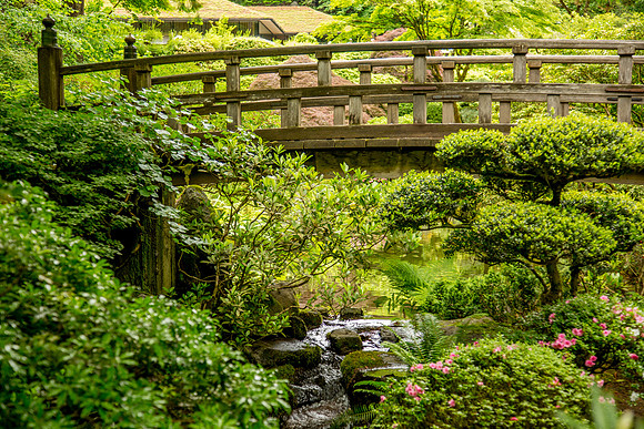 Portland Japanese Garden
