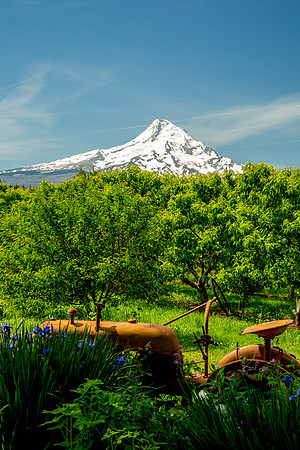 Mount Hood National Forest