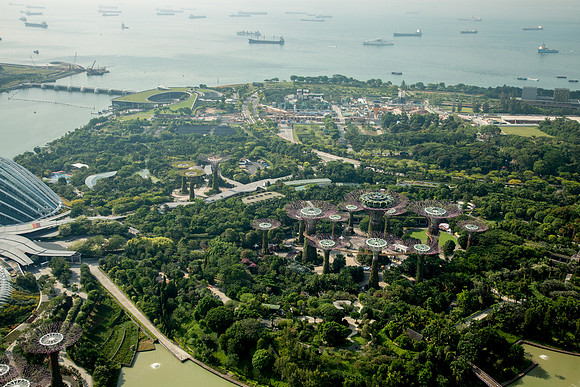 Gardens by the Bay
