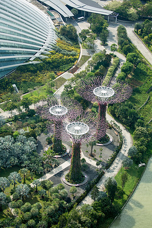 Gardens by the Bay