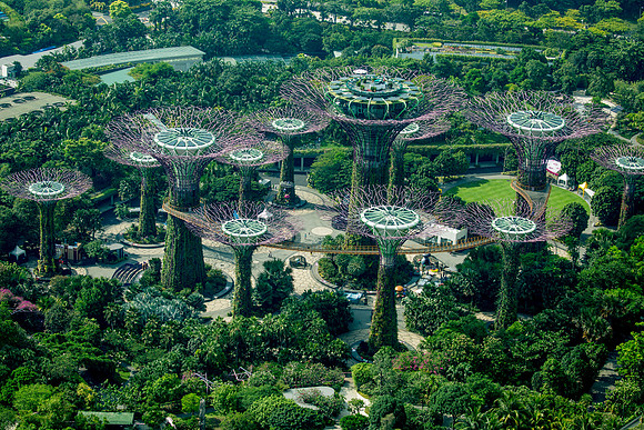 Gardens by the Bay