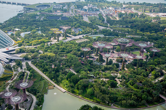 Gardens by the Bay