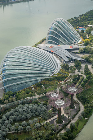 Gardens by the Bay