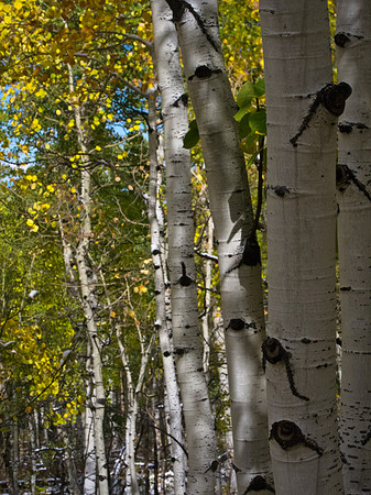 Last Dollar Road, Colorado