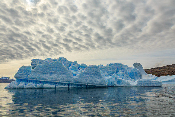Iceberg, Johan Petersen Fjord