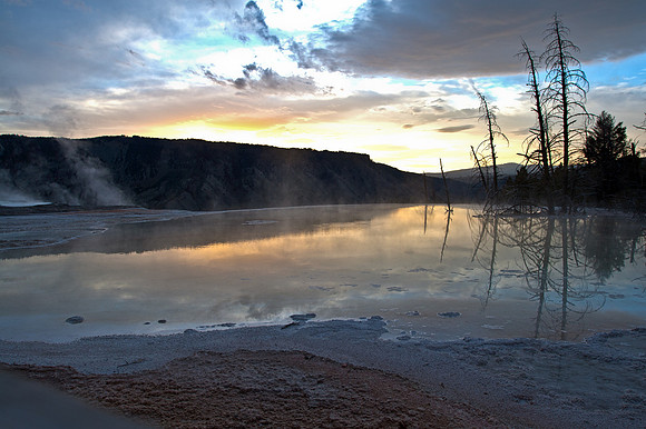 Mammoth Hot Springs Terraces